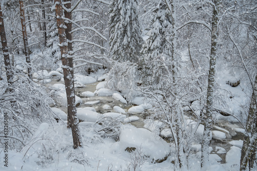 Winter landscape with fair ...