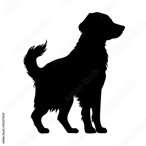 Golden Retriever Standing Silhouette