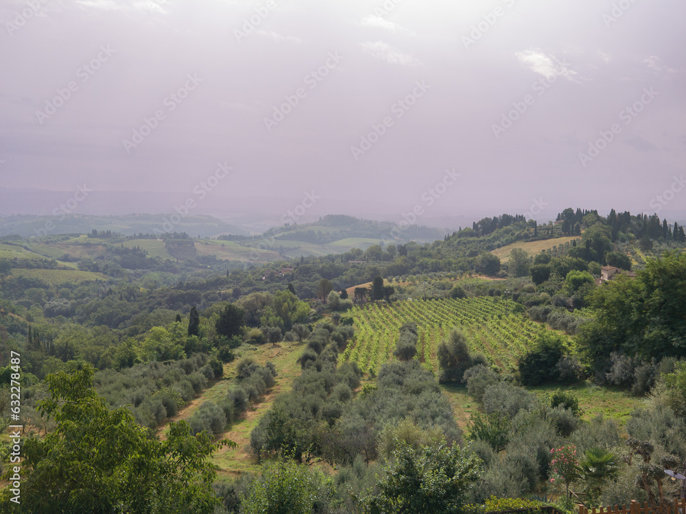 Obraz premium Landscape near San Gimignano, Tuscany, Italy
