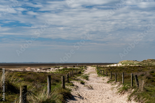 Strandgefl  ster am Ostende