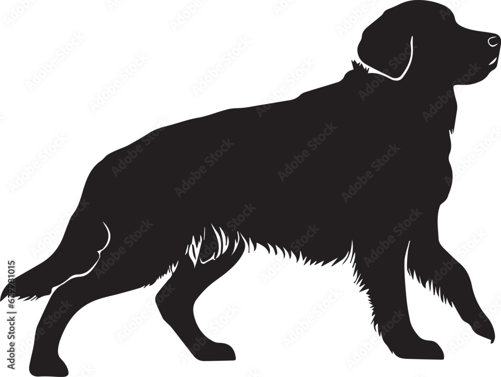 Golden Retriever Dog Vector silhouette