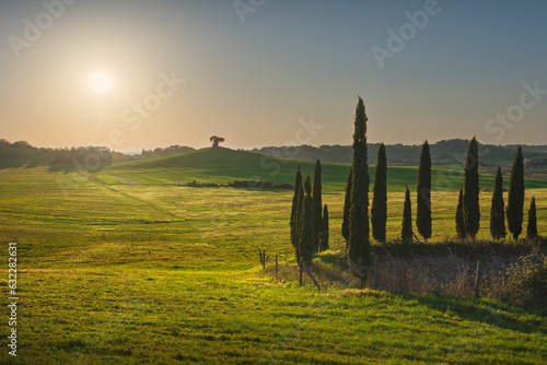 Landscape in Maremma. Rolling hills and trees. Bibbona,Tuscany, Italy