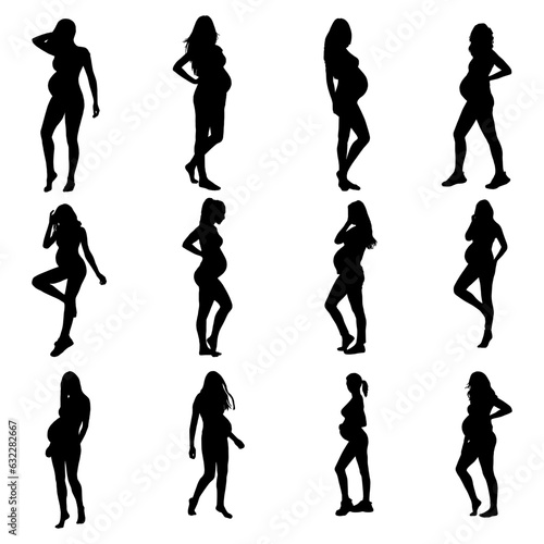 Silhouette of set pregnant woman illustration vector