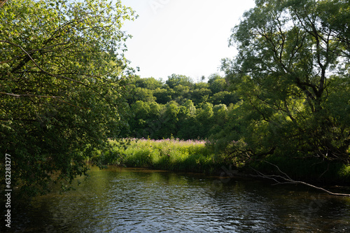 Green River landscape - The river Eder in a landscape