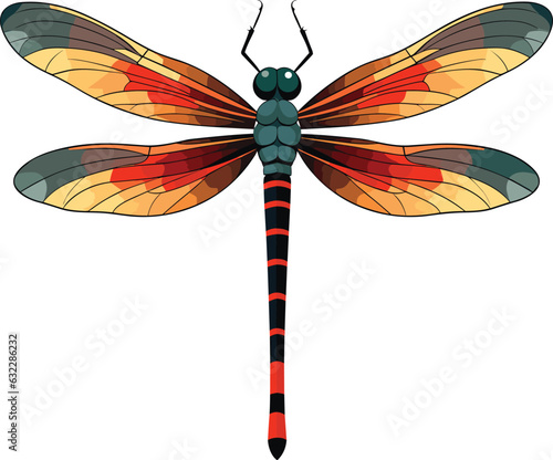 colorful dragonfly vector on white background