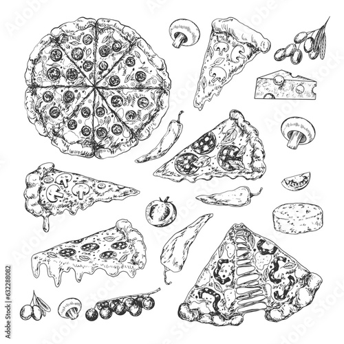 Set of sketch of italian pizza slices and ingredients. Italian fast food. Pizza pepperoni, salami, mushroom. Illustration for menu. Engraved style. Hand drawn camembert, cherry tomato, olive. Top view