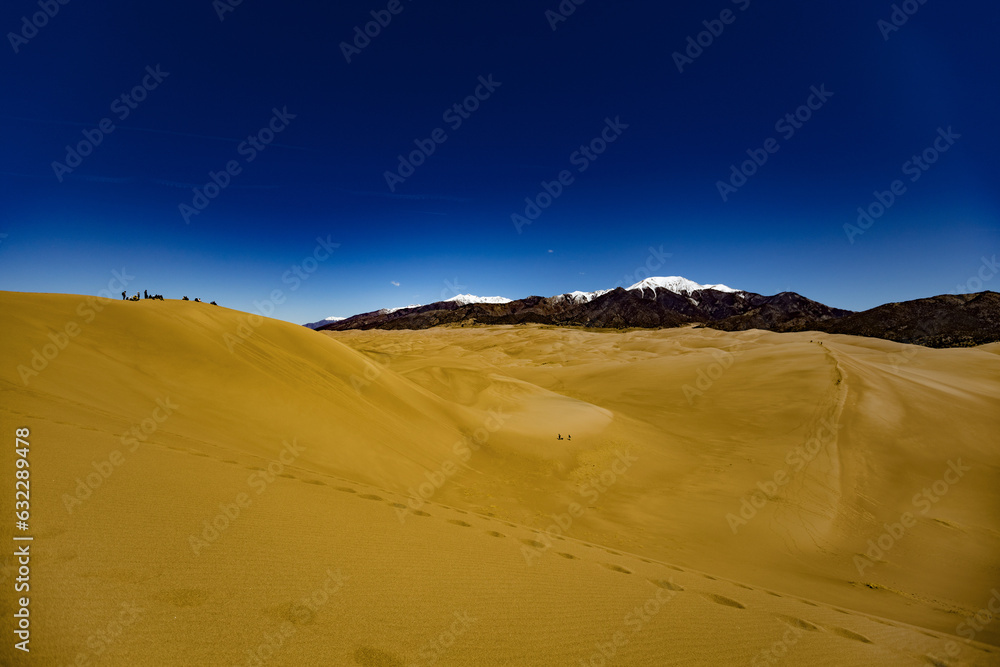 sand dunes in park sand dunes in park