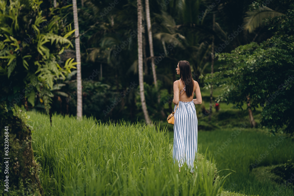 Back view of elegant girl wearing long dress in rice field. Young lady admiring rice plantation Back view of elegant girl wearing long dress in rice field. Young lady admiring rice plantation
