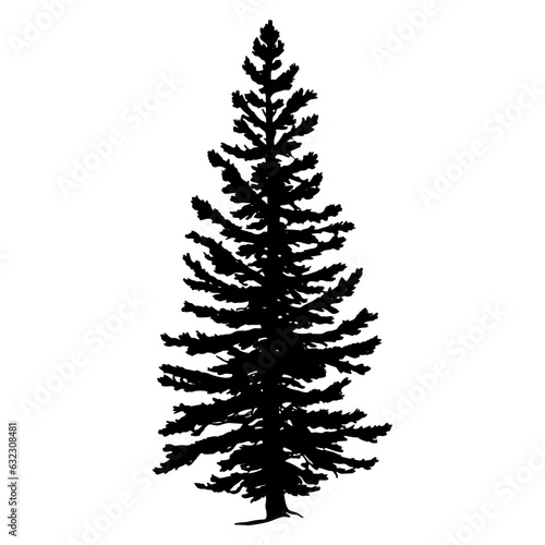 Douglas Fir tree silhouette. Vector illustration