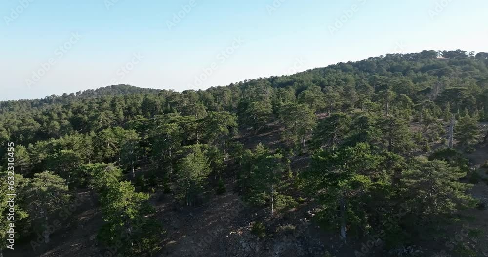 Aerial view of a beautiful pine forest on Mount Olympus in Cyprus. A beautiful mountain landscape in a tourist town and ancient mythology. High quality 4k footage Aerial view of a beautiful pine forest on Mount Olympus in Cyprus. A beautiful mountain landscape in a tourist town and ancient mythology. High quality 4k footage