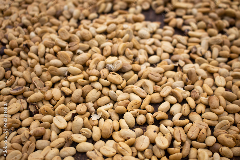background of green coffee beans background of green coffee beans