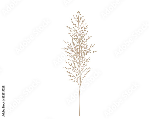 Vector stock illustration of pampas grass. Cream branch of dry grass. Panicle Cortaderia selloana South America, feather flower head plumesstep. Soft pink color. Template for a wedding card