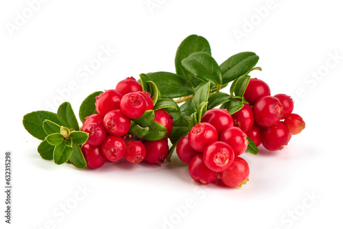 Foto Lingonberry with leaves, isolated on white background.