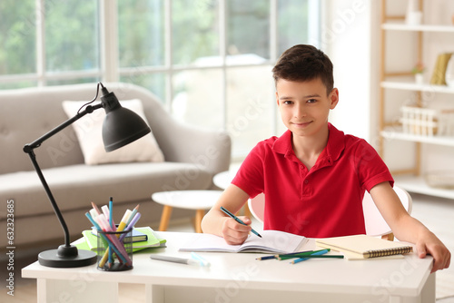 Little boy doing lessons at...