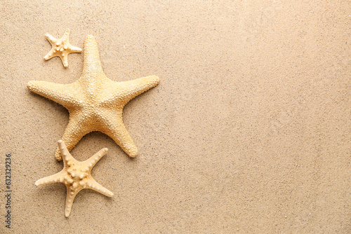 Different starfishes on sandy beach