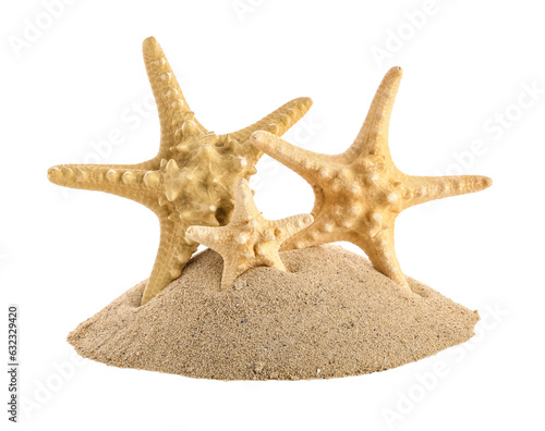 Different starfishes and sand on white background