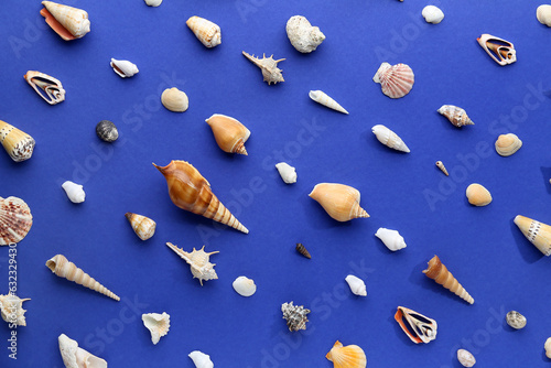 Different seashells on blue background