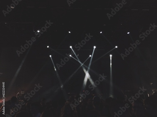 Принти на полотні concert