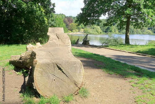 An old tree trunk overlooking the lake in Mote Park photo