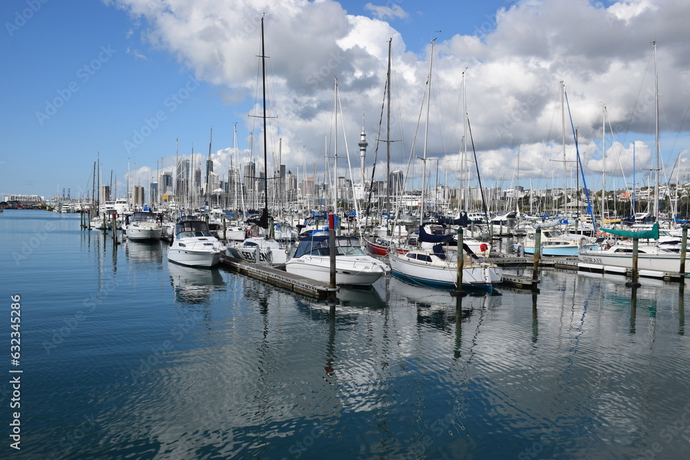 Sailboats moored in a marina in Auckland harbour