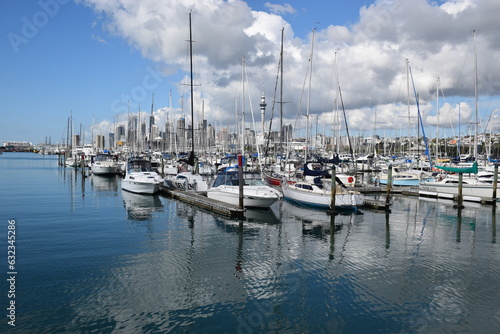 Sailboats moored in a marina in Auckland harbour