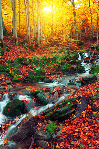 perfect autumn landscape, unbelievable morning in the forest, fast stream between beech trees and gold leaves