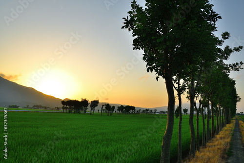 夏井のはさ木 夕景（新潟県）