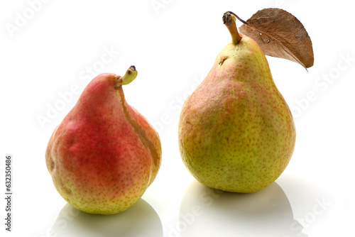 fresh pears on white background, studio shot 13
