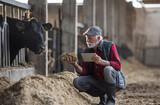 Farmer looking at tablet and feeding cow in stable