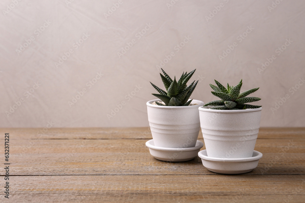 Succulent plants in pots on wooden table, space for text Succulent plants in pots on wooden table, space for text