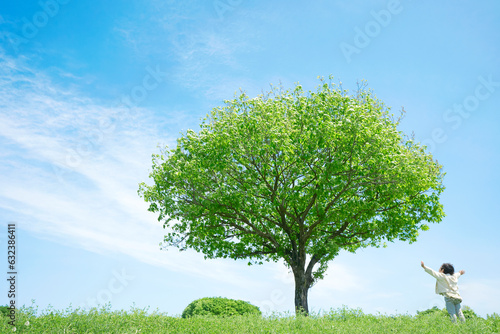 Fotografie, Tablou 一本木のある草原に立つ子供　クリーンエネルギー・環境問題・エコロジー・地球温暖化イメージ