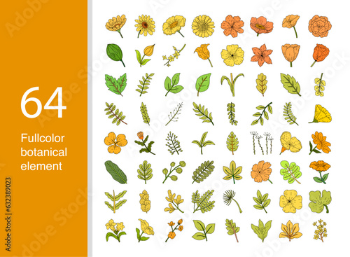 Set of isolated botanical elements, fullcolors hand drawn style photo