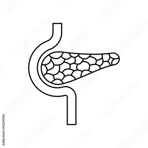 Diabetes Pancreas Care icon. isolated on white background. vector illustration