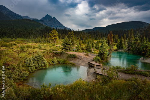  Ink Pots, Banff Alberta. Rain-kissed landscapes come alive in a dance of colors. Verdant meadows and crystal-clear pools blend seamlessly under a soft drizzle, in a masterpiece of tranquility.