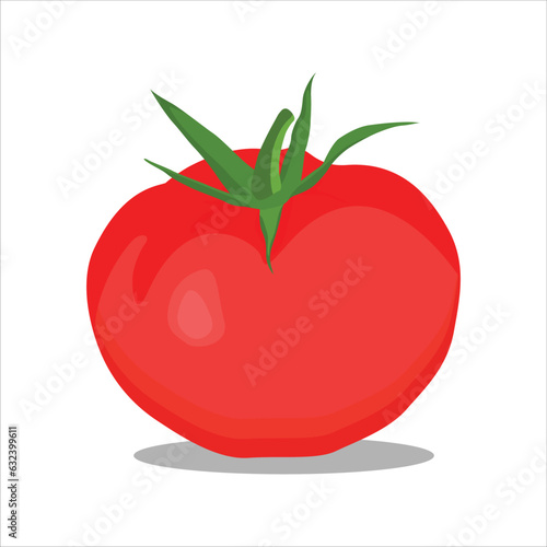 Vector illustration of set of different tomatoes isolated on background. Fruits or vegetables in cartoon flat style. Whole, sliced, quarter, half of a tomato fruit with branch and leaves for graphic