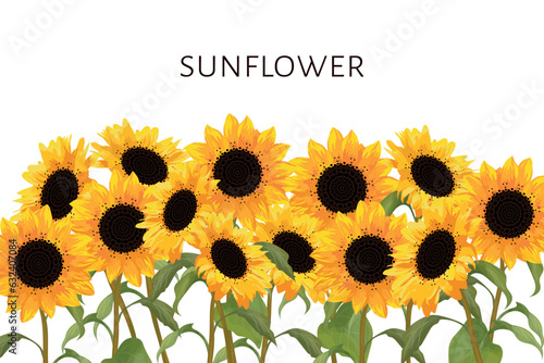 Fototapeta Naklejka Na Ścianę i Meble -  Blooming Sunflower. Ready background with space for text for design of cards, invitations, brochures for Harvest Day or Thanksgiving.