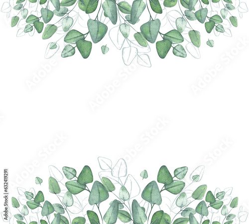Eucalyptus. Branches of greenery. Botanical watercolor illustration. Elegant frame for the design of postcards, cards, textiles. Template for text.
