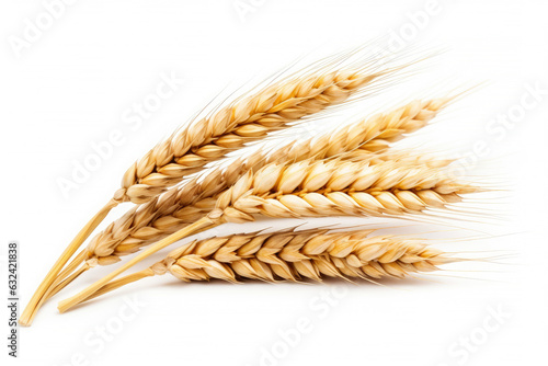Wheat ears or ripe rice that harvest from fields isolated on white background, clean dried sheaf crop, with Generative Ai.