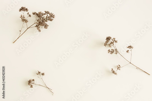 Dry Grass Branches frame on white background with copy space.  Floral card.Minimal botanical template