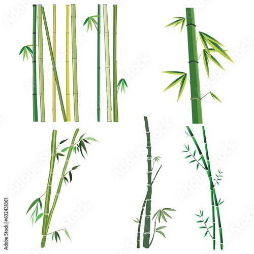 Vector illustration of various bamboo green and brown decoration elements in cartoon flat style. Seamless vertical borders from stems, isolated leaves and sticks and fresh natural plant.