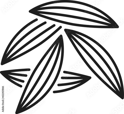 Cumin or caraway seeds isolated culinary herb icon. Vector food seasoning, organic plant used as cooking condiment in traditional medicine