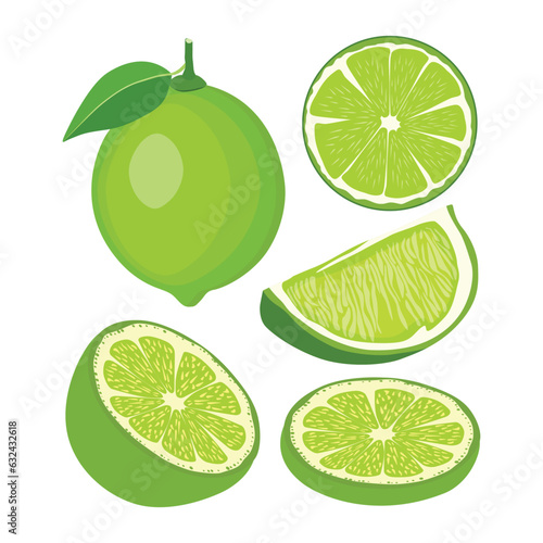 Vector illustration set of green lemon in cartoon style. Fresh healthy lime fruit with leaf hanging in branch.  Whole and sliced parts of green citrus image. Elements lemon image for logo, icon.