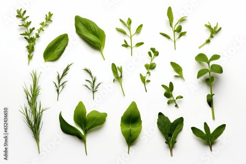 Collection of fresh herb leaves. arugula and basil Spices  herbs on a white table. PNG Food background design element with transparent shadow on transparent background  Generative AI