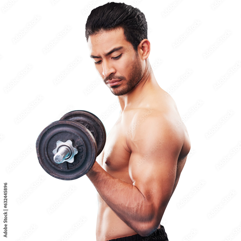 Strong, fitness and man with dumbbell isolated on transparent png background for training, exercise or workout. Asian bodybuilder, athlete and weightlifting for bicep muscle, strength and power