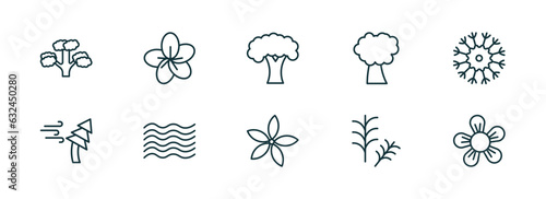 set of 10 linear icons from nature concept. outline icons such as pitch pine tree, sakura, beech, neroli, rosemary, jasmine vector