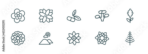 set of 10 linear icons from nature concept. outline icons such as peony, zinnia, natural medical pills, jonquil, dahlia, larch vector