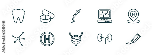 set of 10 linear icons from medical concept. outline icons such as tooth, pill, eye dropper, bladder, kidney, ointment vector