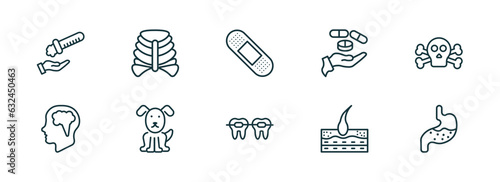 set of 10 linear icons from medical concept. outline icons such as acid falling on hand, sternum, sticking plaster, braces, epidermis, stoh vector