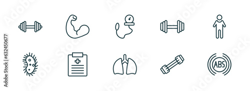 set of 10 linear icons from health and medical concept. outline icons such as dumbbells, biceps, tonometer, lung, chest expander, abs vector