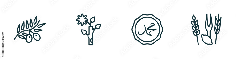 set of 4 linear icons from religion concept. outline icons included olive branch, budding staff, muhammad word, four species vector set of 4 linear icons from religion concept. outline icons included olive branch, budding staff, muhammad word, four species vector